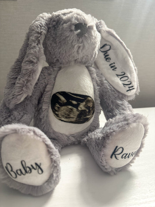 Personalised pregnancy scan Teddy